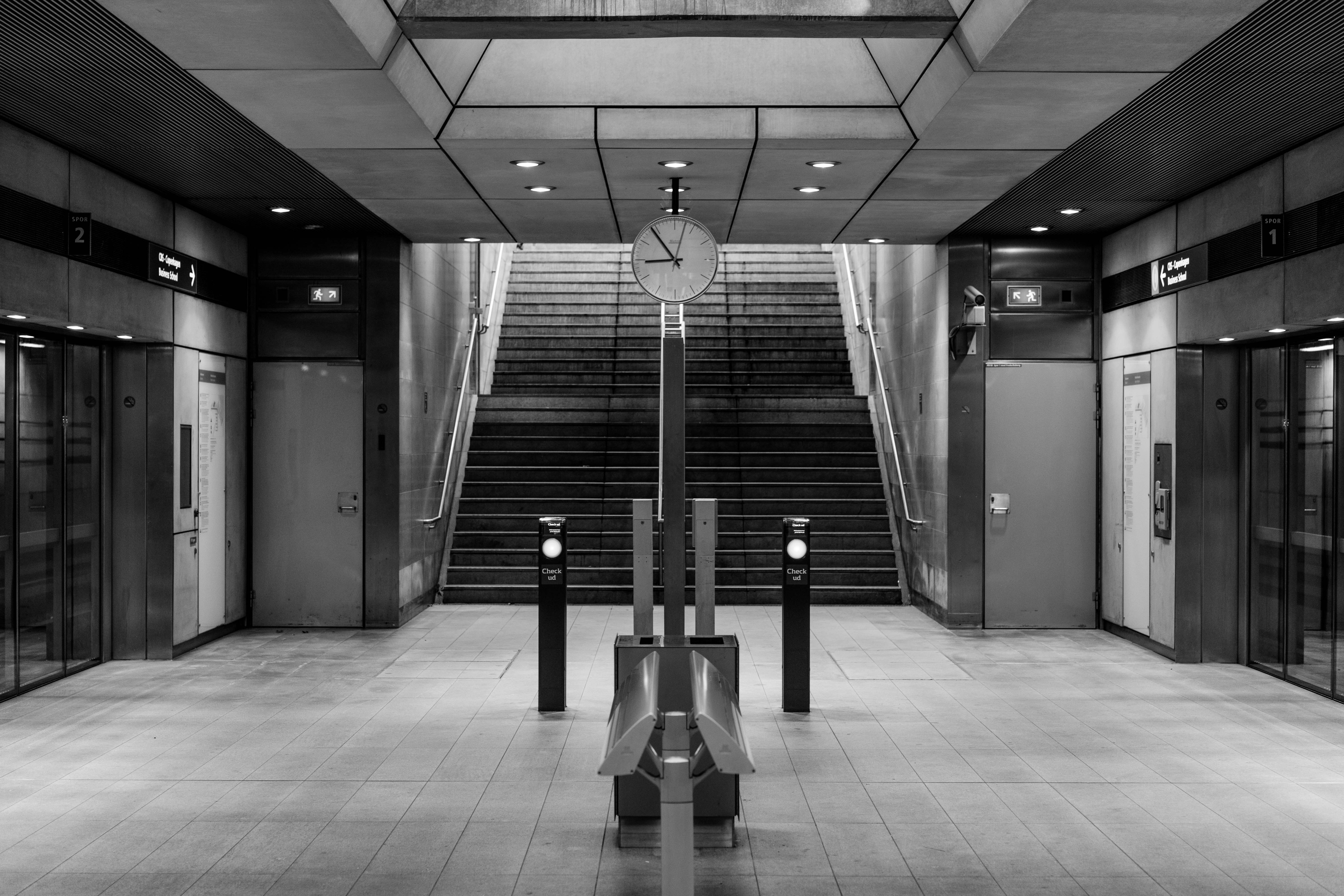 grayscale photo of building stairs